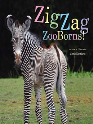 cover image of ZigZag ZooBorns!
